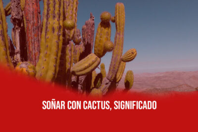 Cuáles son los significados de soñar con un cactus